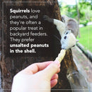 Wildlife Feed Raw Peanuts (12 LB Pail) - Our in-Shell Peanuts are The Ideal Critter Food to Attract Squirrels, Birds, Deer and Other Diverse Wildlife.