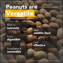 Wildlife Feed Raw Peanuts (12 LB Pail) - Our in-Shell Peanuts are The Ideal Critter Food to Attract Squirrels, Birds, Deer and Other Diverse Wildlife.