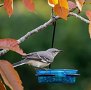 Stokes Select 38200 Bird Feeder, Blue