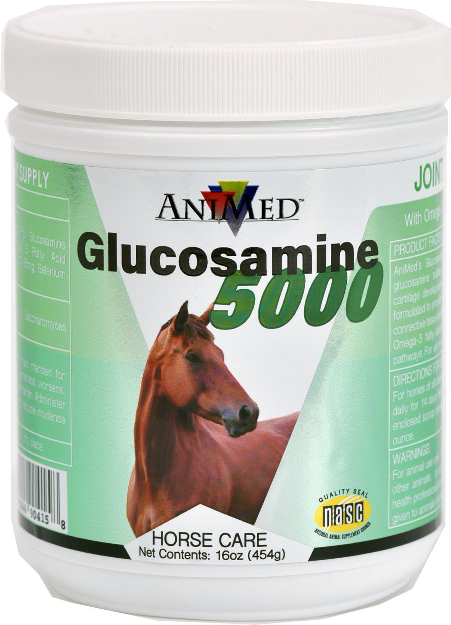 Animed Glucosamine 5000 Supplement for Horses, 16 oz - Joint