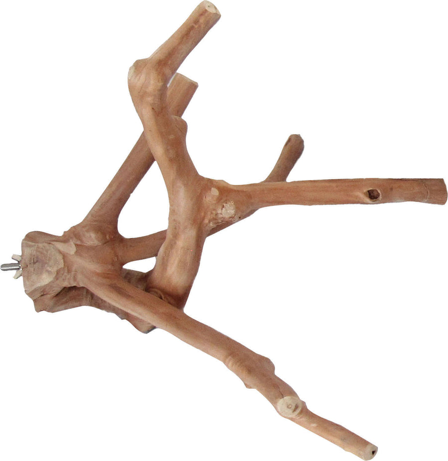 A&e Java Wood Multi-Branch Perch, MD - Perches