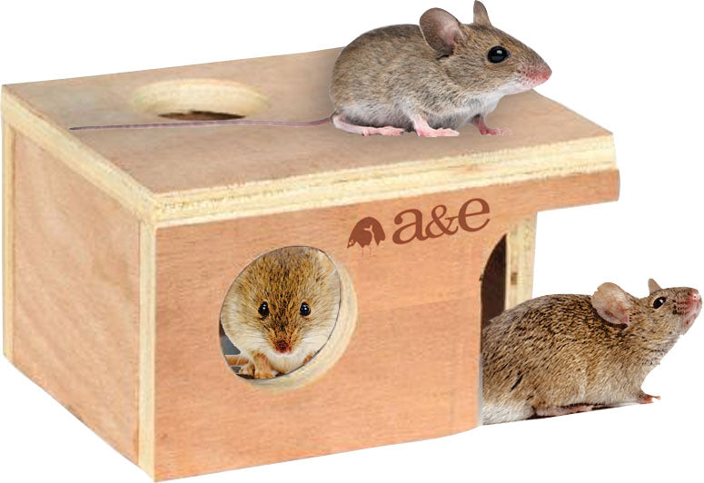 Nibbles Mouse Hut, SM - Hideaways