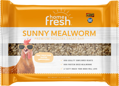 Blue Seal Home Fresh Sunny Mealworm Treat Bar, 1.6 lb - Treats