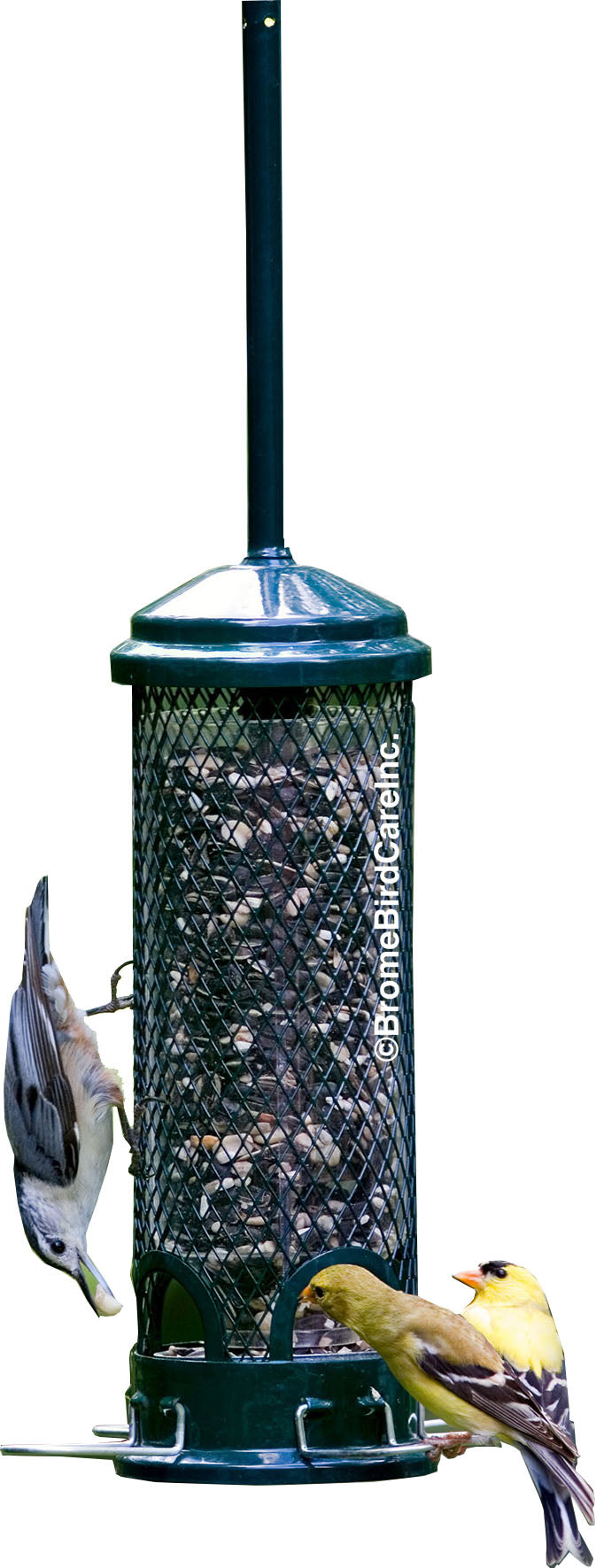 Squirrel Buster Mini Wild Bird Feeder, Green, 1 lb Cap - Squirrel Proof All Metal Feeder