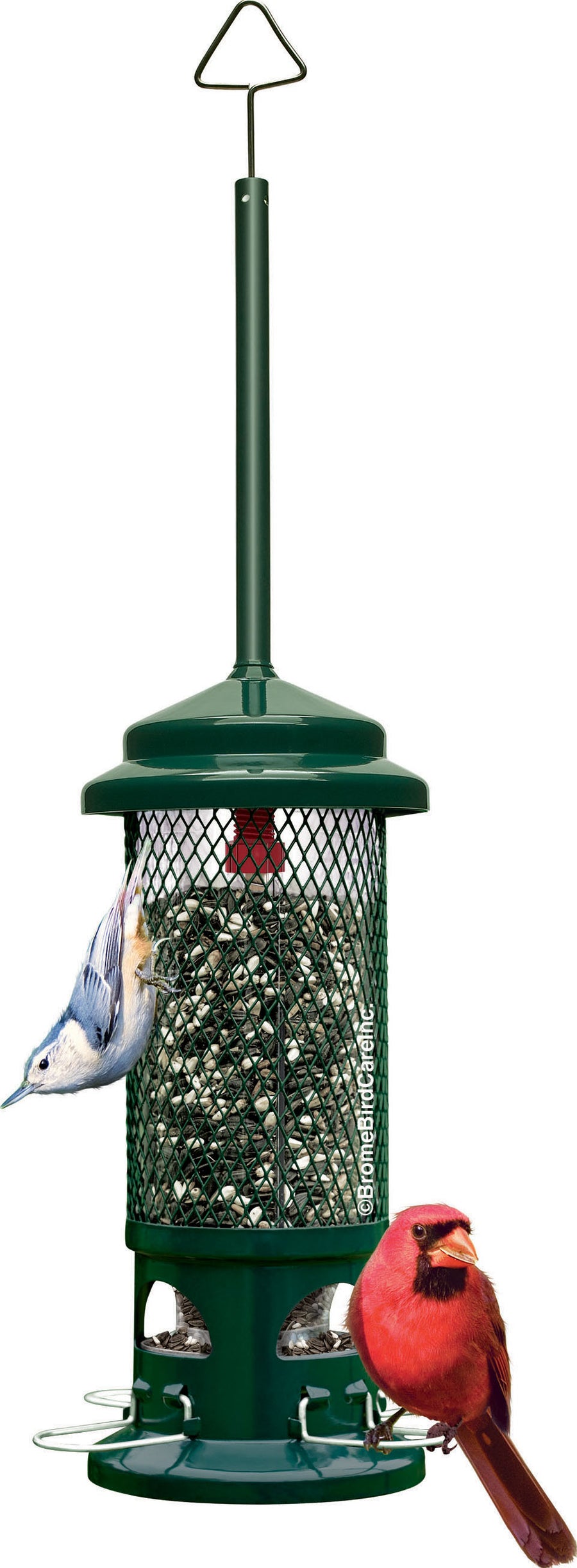 Squirrel Buster Standard Wild Bird Feeder, Green, 1.3 lb Cap - Squirrel Proof All Metal Feeder