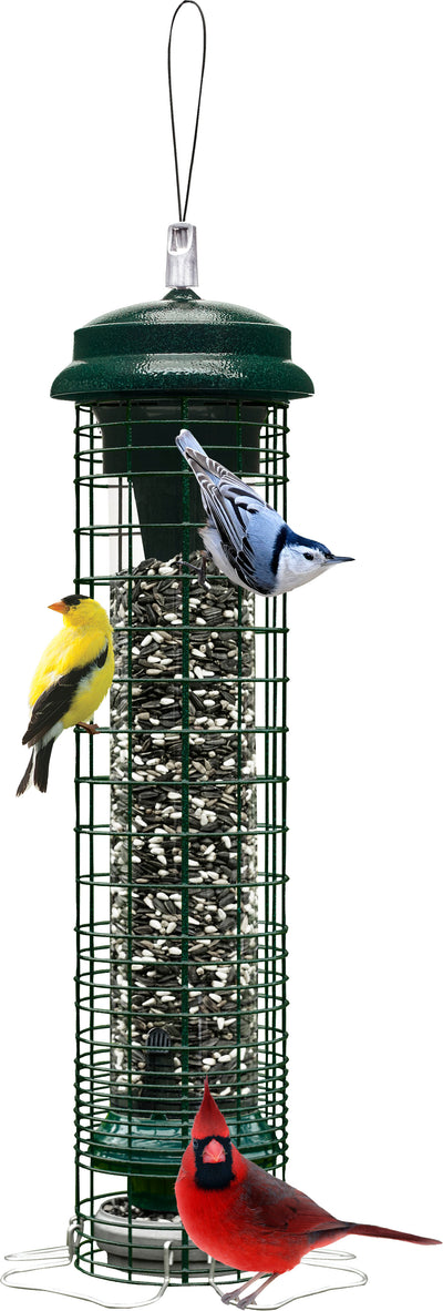 Brome Squirrel Solution 150 Wild Bird Feeder, Forest Green, 2.5 lb Cap - Tube Type Feeders Mixed Seed