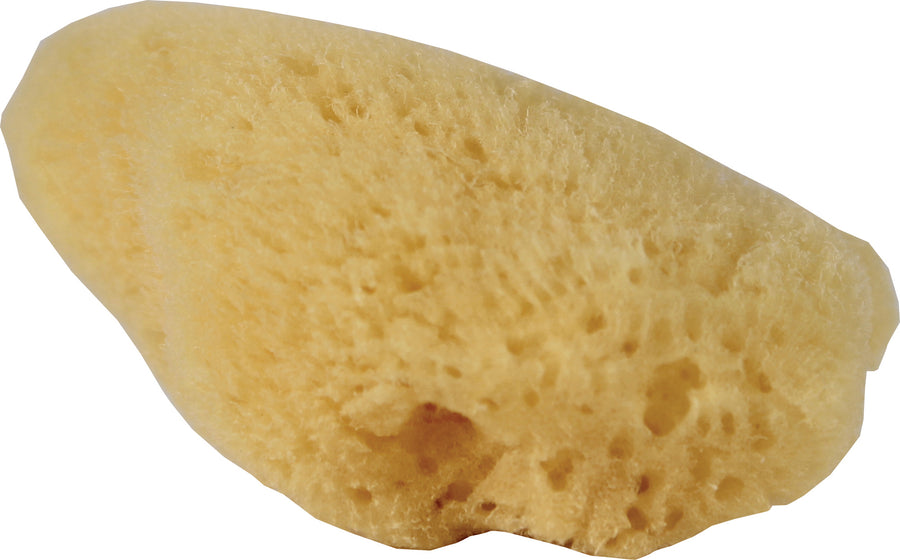 Fluker's Hermit Headquarters Hermit Crab Natural Sea Sponge, 2x1 in