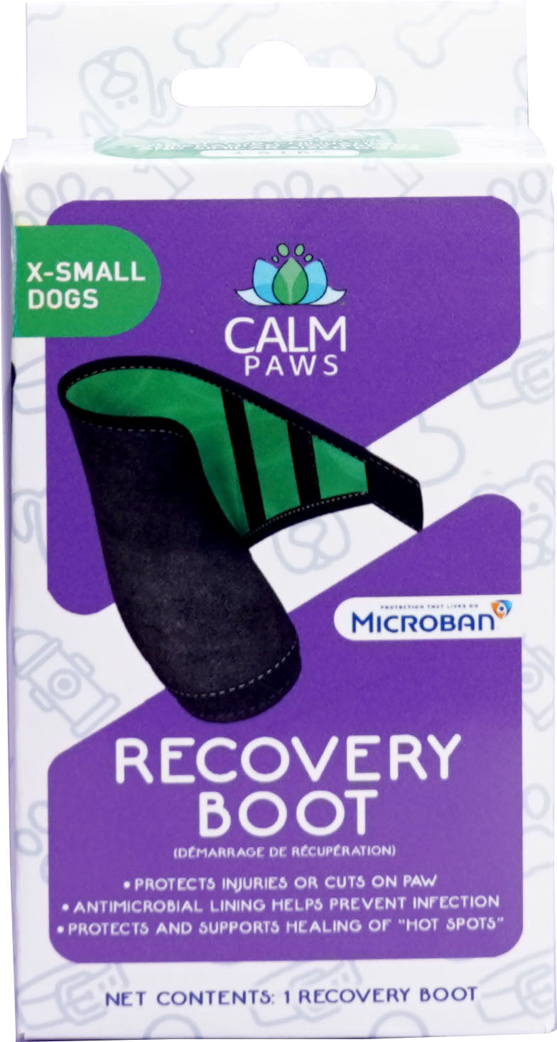 Calm Paws Recovery Boot, XS - Cones/Collars