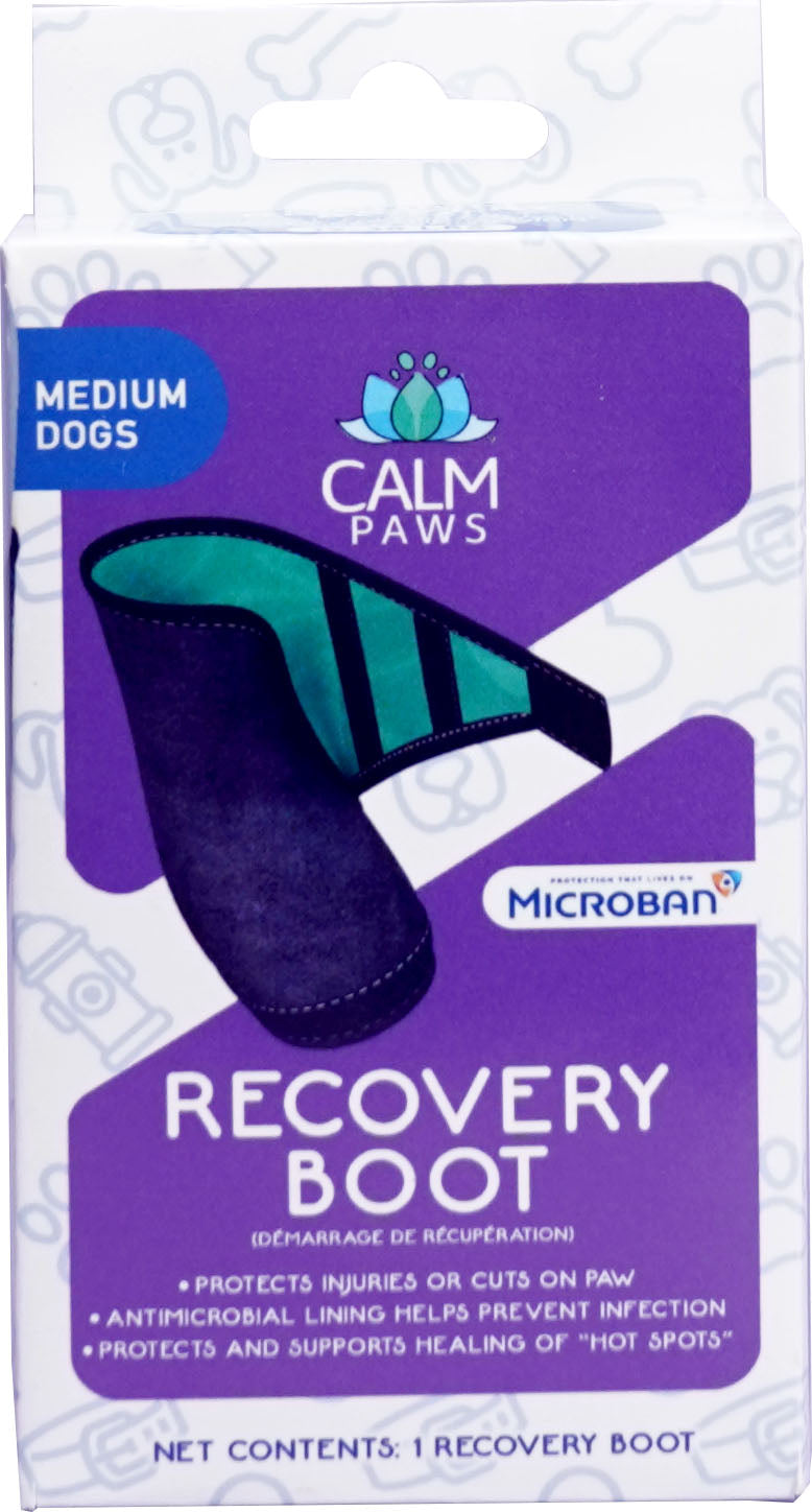 Calm Paws Recovery Boot, M - Cones/Collars