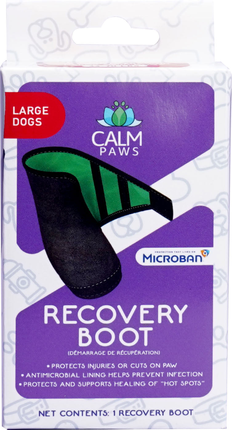 Calm Paws Recovery Boot, L - Cones/Collars