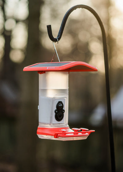 Feathersnap Smart Hummingbird Feeder, Red, 1 l Cap - Hummingbird Feeders-Plastic