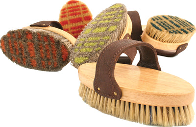 Legends Tartan Horsehair English Style Body Brush, Assorted - Brush Medium/General