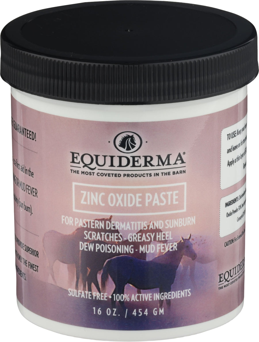 Equiderma Zinc Oxide Paste for Dermatitis & Sunburn, 16 oz - Ointments & Creams