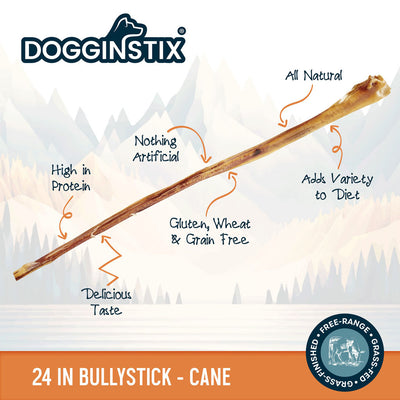 Dogginstix Bully Sticks Cane, 24 in - Rawhide/ Body Parts