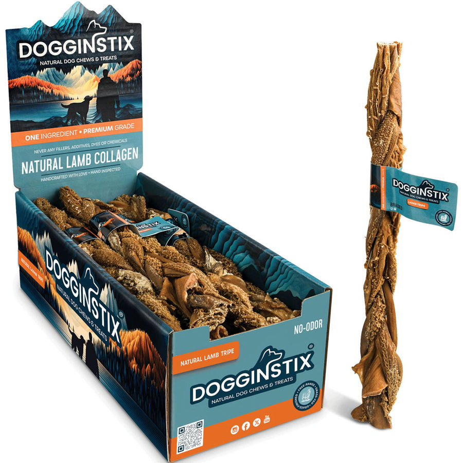 Dogginstix Braided Lamb Tripe Stick, 12 in - Rawhide/ Body Parts