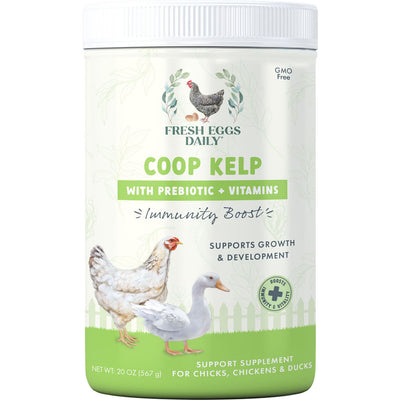 Fresh Eggs Daily Coop Kelp for Immune Support, 20 oz - Supplements