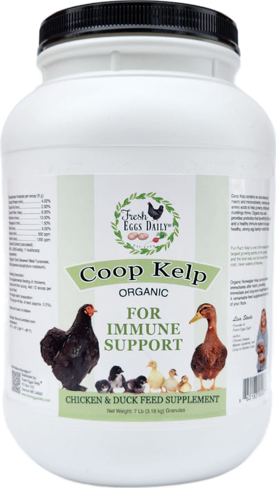 Fresh Eggs Daily Coop Kelp for Immune Support, 7 lb - Supplements