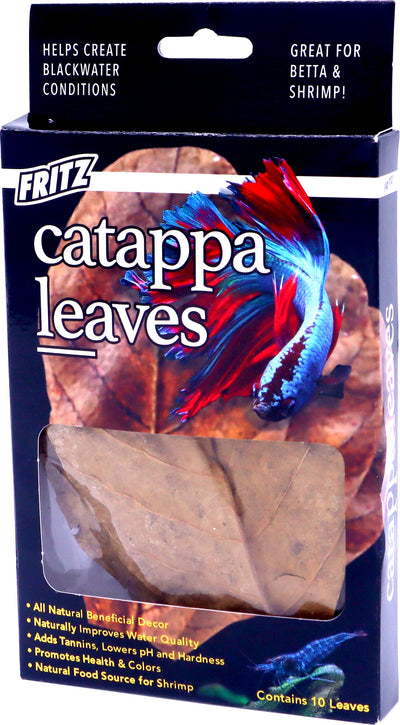 Fritz Catappa Leaves, 10 ct - Plastic Plants