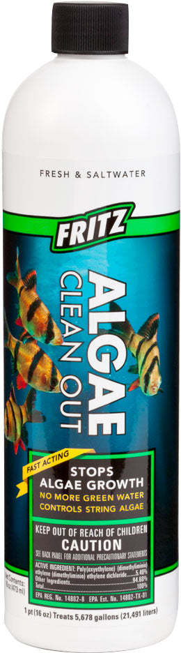 Fritz Algae Clean Out, 16 oz - Algae Destroyers