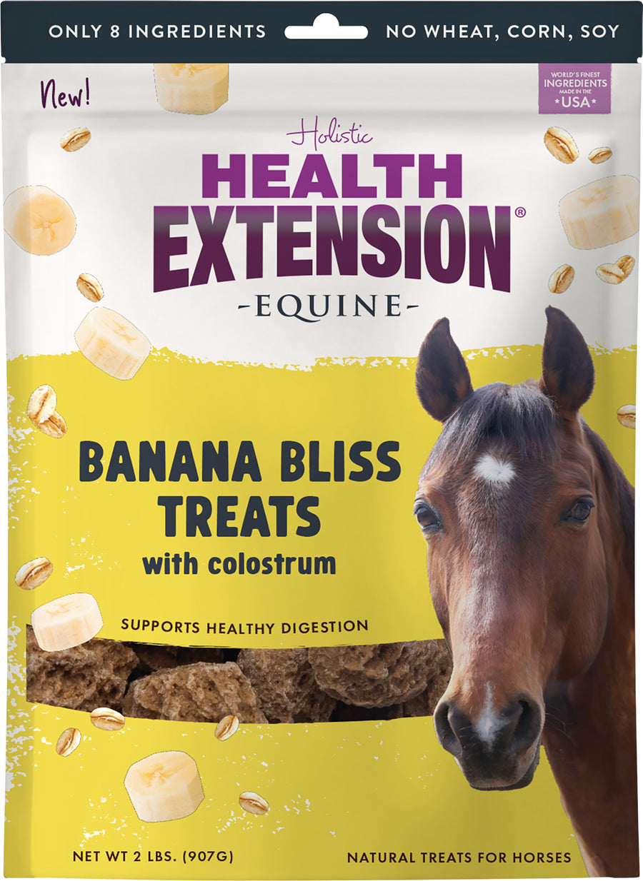 Fresh Eggs Daily Health Extension Equine Treats, Banana, 2 lb