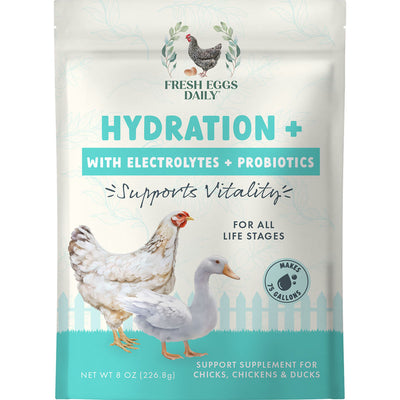 Fresh Eggs Daily Hydration + Electrolytes, 8 oz