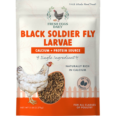 Fresh Eggs Daily Black Soldier Fly Poultry Treat, 5 lb - Black Soldier Fly Larva