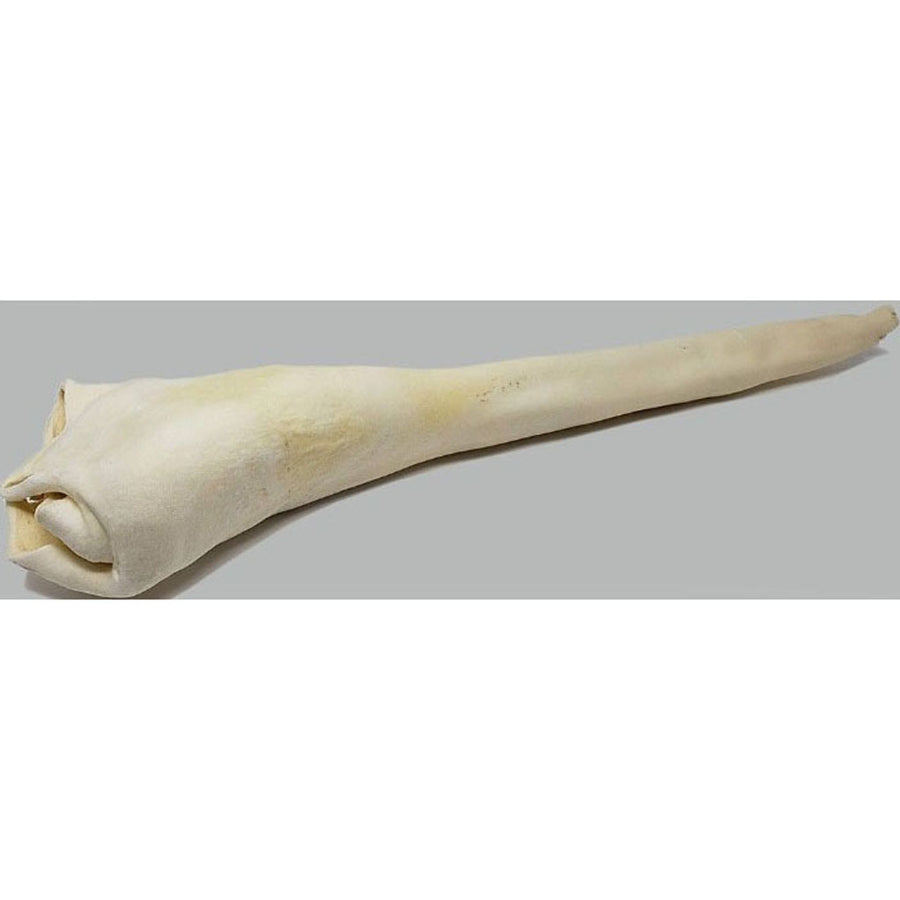 Home Range Bull Tail, 18-22 in - Rawhide/ Body Parts