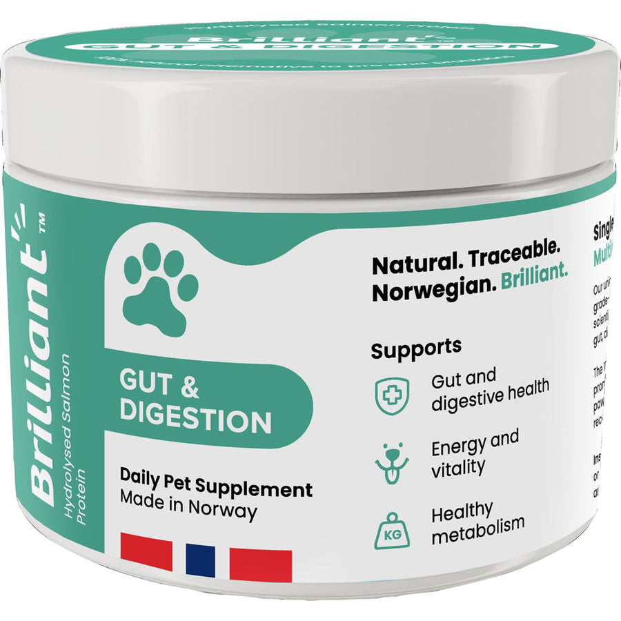Brilliant Daily Pet Supplement Gut & Digestion, 200 g - Supplements