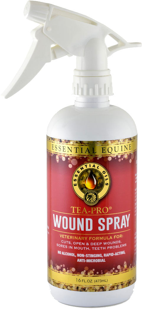 Essential Equine Tea-Pro Wound Spray, 16 oz - Sprays/Daubers