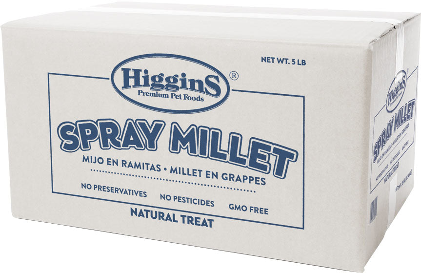 Higgins Spray Millet Natural Avian Treat, 5 lb