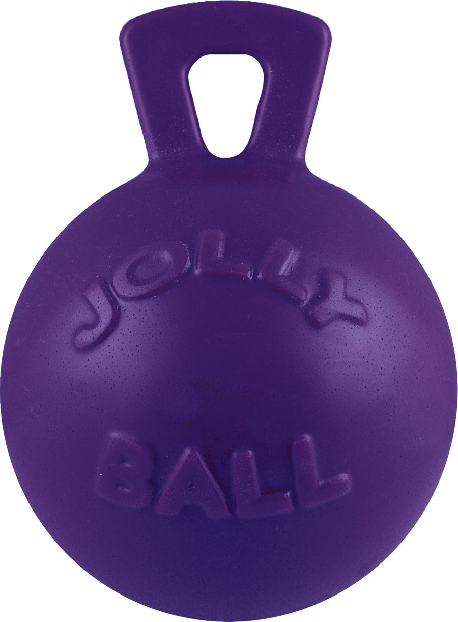 Jolly Pets Tug-N-Toss Ball, Purple, lg-8 in - Hard Plastic