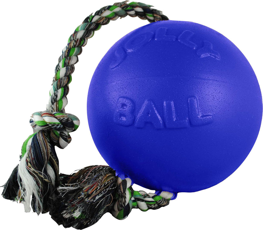 Jolly Pets Romp-N-Roll Ball, Blue, LG - Hard Plastic