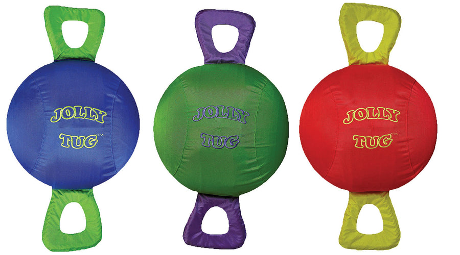 Jolly Pets Tug, Assorted, LG - Canvas