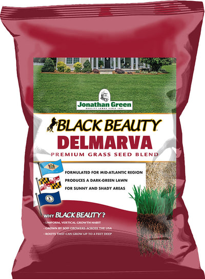 Jonathan Green Black Beauty Delmarva Grass Seed Mixture, 25 lb - Grass Seed Specialty