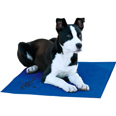 K&h Coolin' Pet Pad, Blue, LG - Beds