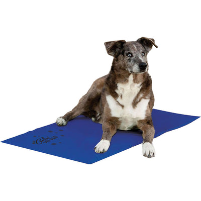 K&h Coolin' Pet Pad, Blue, XL - Beds