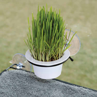 K&h EZ Mount Cat Grass Grow Station, O/s