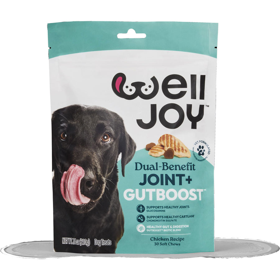 Welljoy Joint + Gutboost Dog Treat, 7.4 oz - Soft Treats