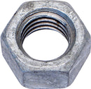 0538363.jpg