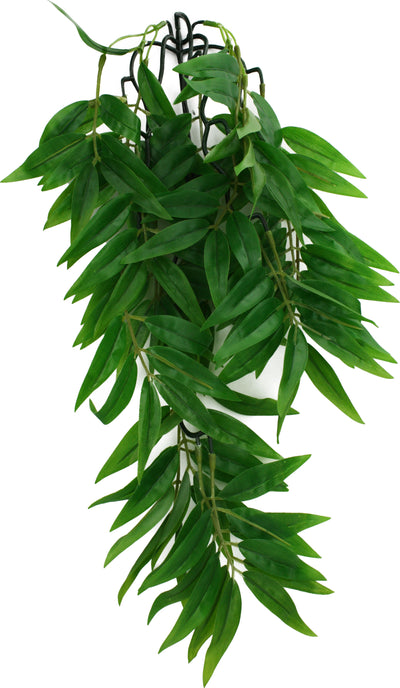 Komodo Bamboo Climbing Plant, Green/Red, MD - 16 in - Plants