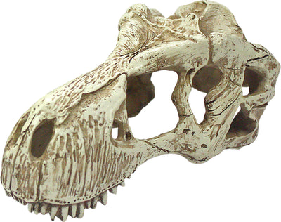 Komodo T-Rex Skull, Natural, LG - General