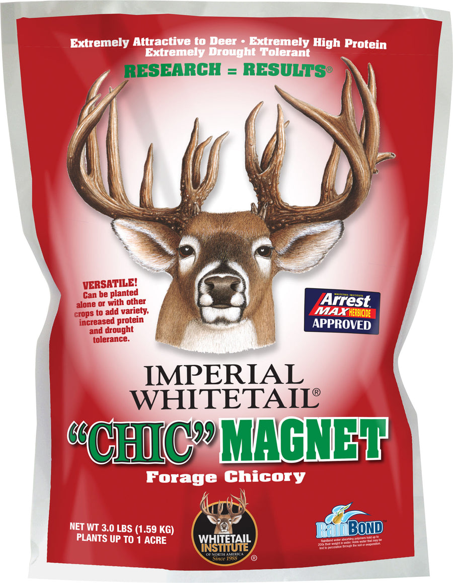 Imperial Whitetail "chic" Magnet Forage Chicory, 3 lb - Seed-Fall