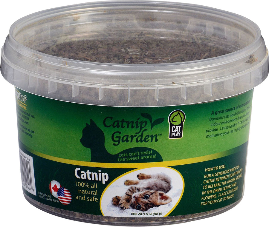 Multipet Catnip Garden Catnip Cup, Green, 1.5 oz