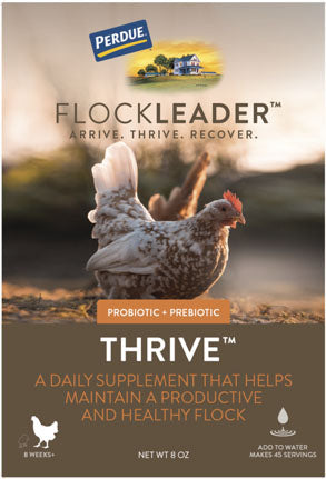 Perdue Flockleader Thrive Poultry Supplement, Powder, 8 oz - Electrolytes