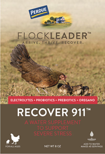 Perdue Flockleader Recover 911 Poultry Supplement, Powder, 8 oz - Electrolytes