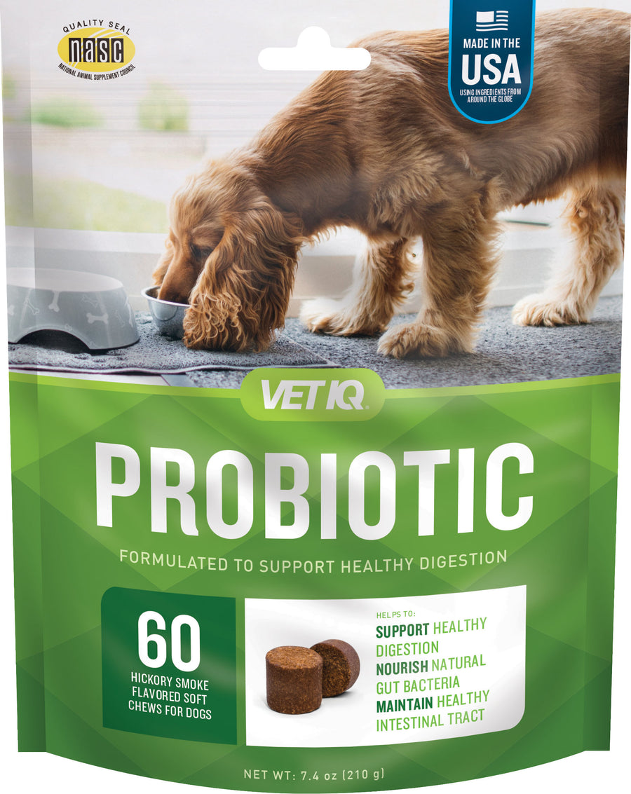 Vetiq Probiotic Digestive Support Soft Chew, Hickory Smoke, 60 ct - Supplements