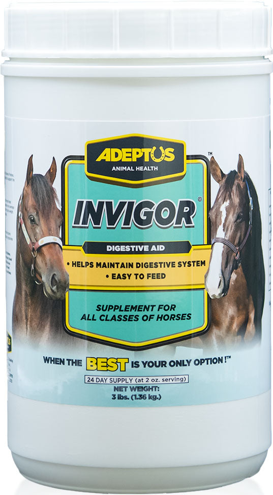 Adeptus Invigor Prebiotic, 3 lb - Digestion Metabolic