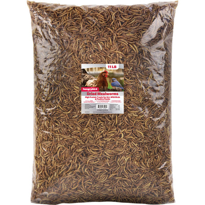 Hungrybird Dried Mealworms, 11 lb