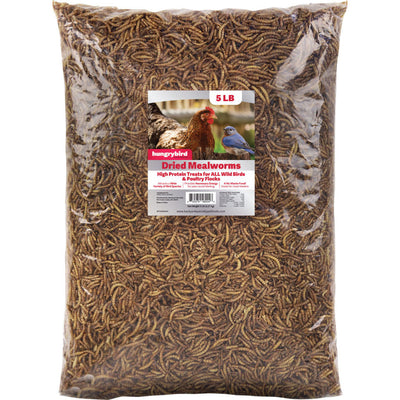 Hungrybird Dried Mealworms, 5 lb