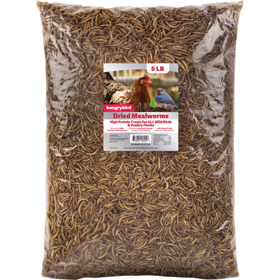 Hungrybird Dried Mealworms, 5 lb